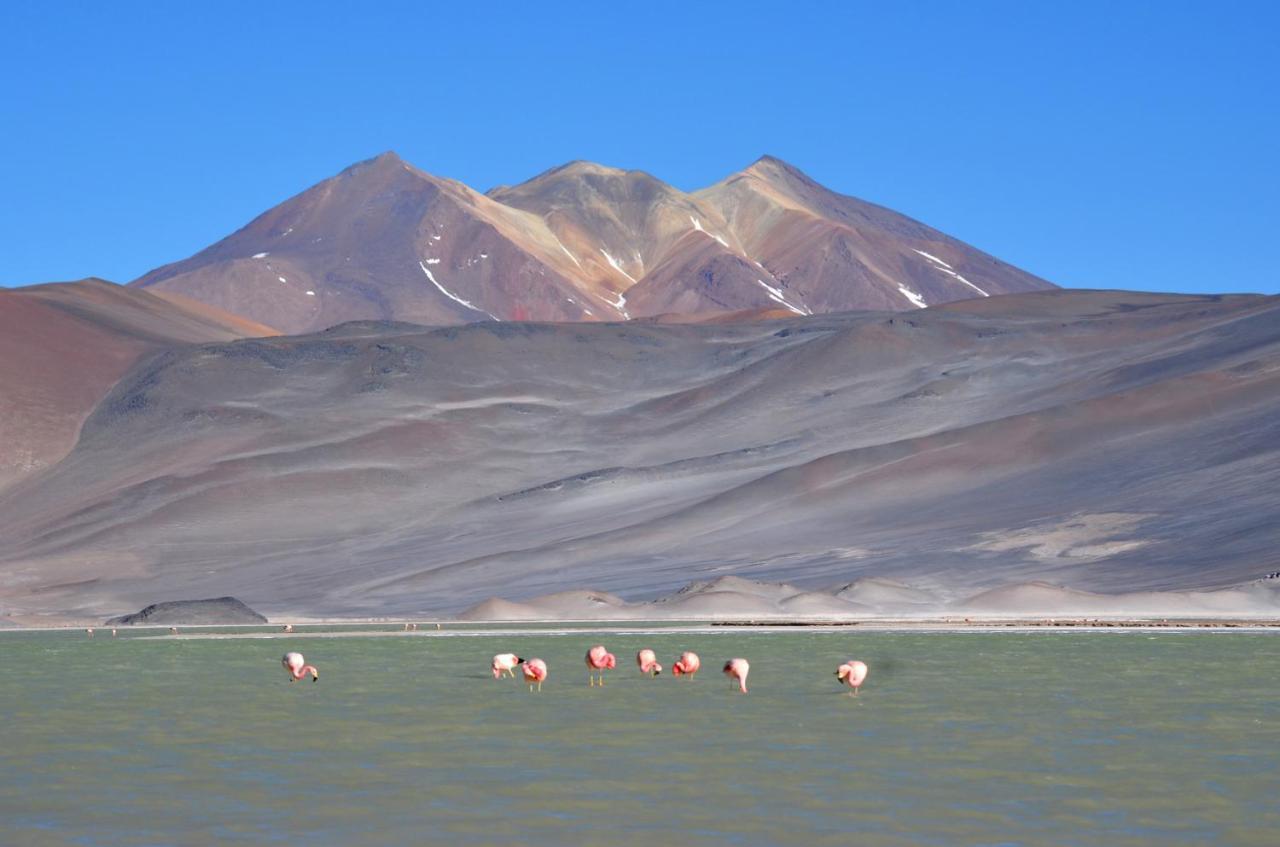 Hotel Ckuri Atacama San Pedro de Atacama Exterior foto